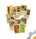 Catan juego de cartas, Devir