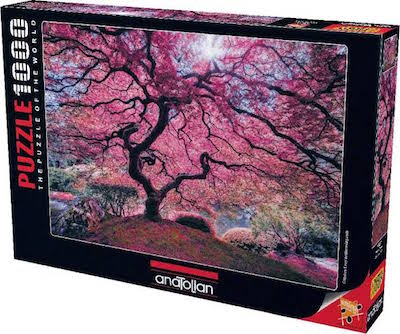 RC Moises Levy: Árbol Rosa 1000p. Anatolian