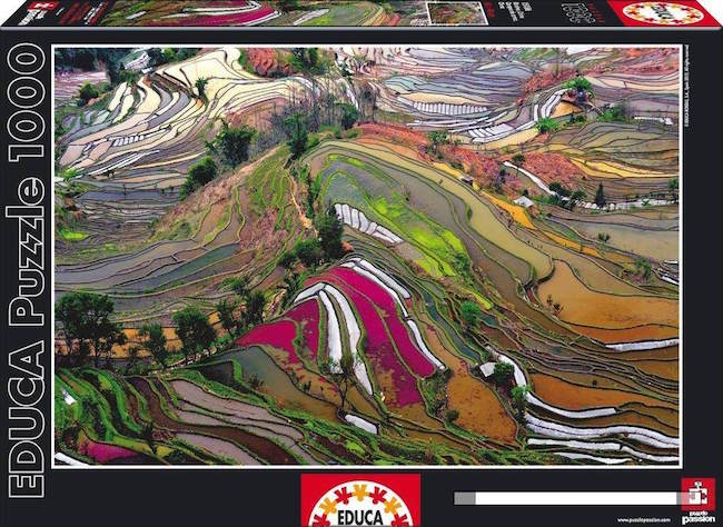 RC Campos De Arroz, China 1000p. Educa